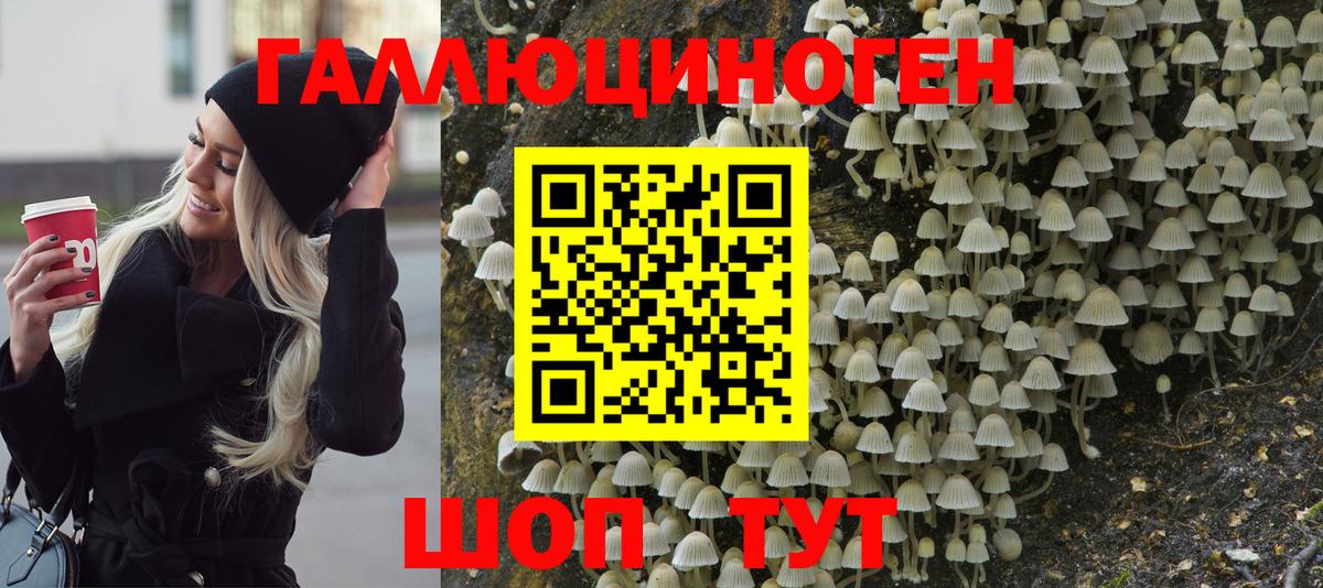Псилоцибиновые грибы ЛСД Бутурлиновка
