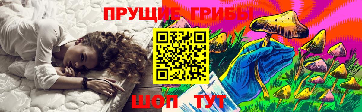 Бутурлиновка  как найти   Вход с VPN  Псилоцибиновые грибы Psilocybine cubensis 